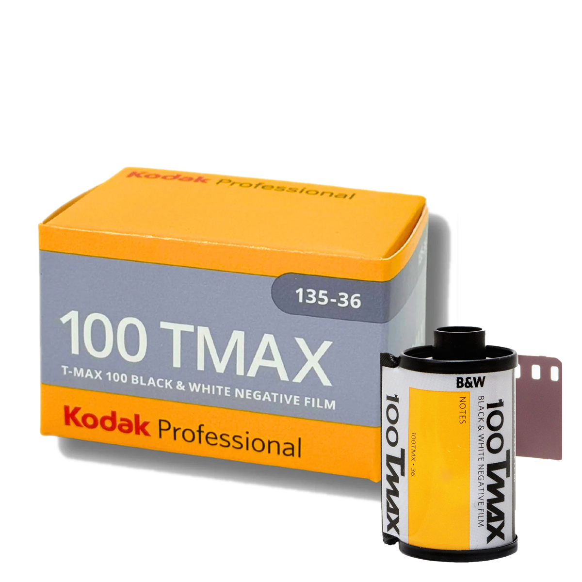 Kodak T-MAX 100 135-36